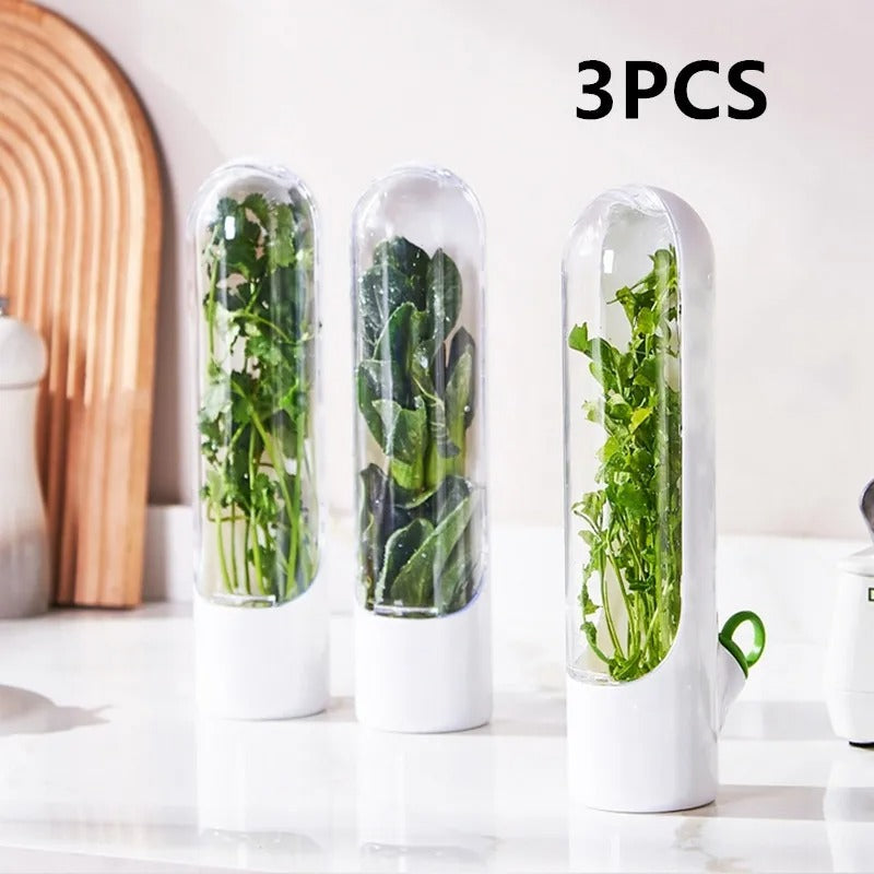 Herb Saver Storage Container – Premium Quality Fresh Herb Keeper